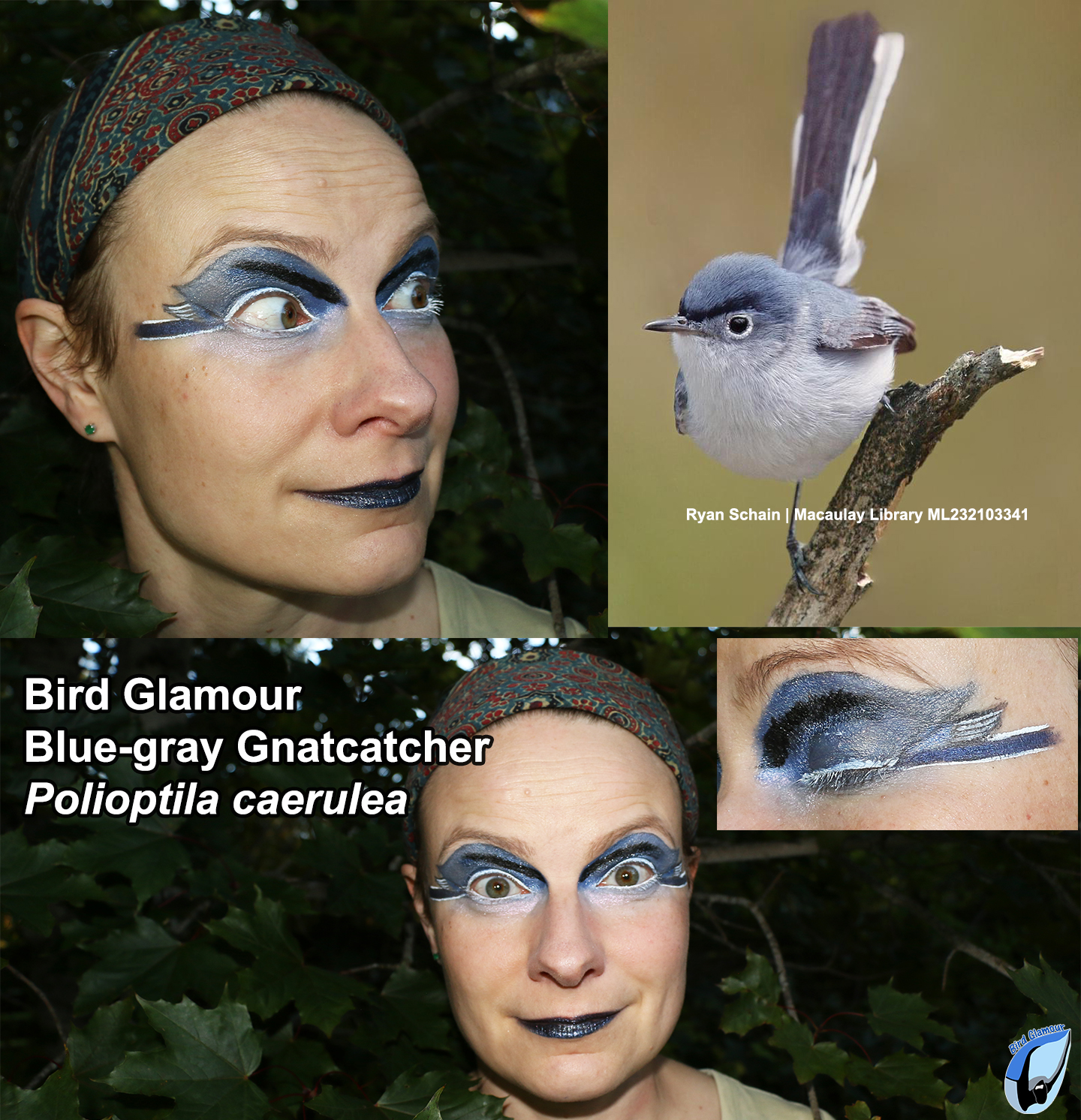 BGGN Bird Glamour